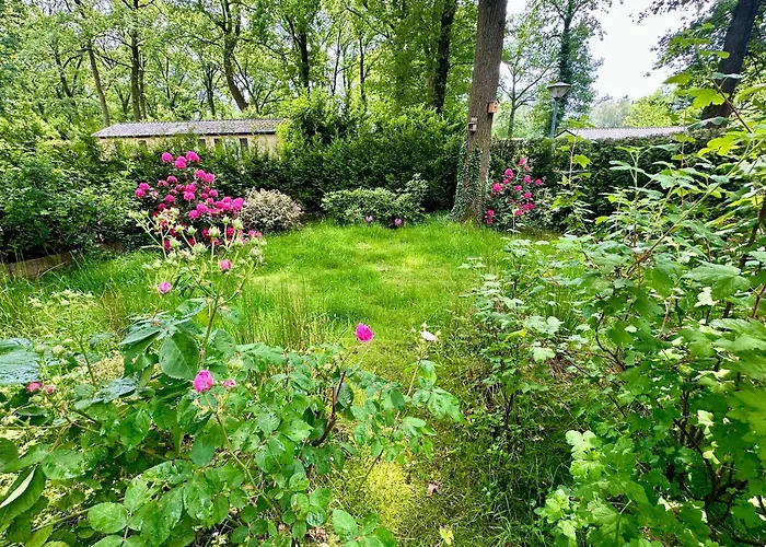 Vakantie veluwe