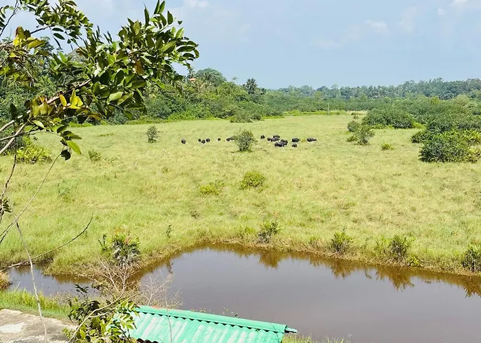 Cinnamon Villa Bentota