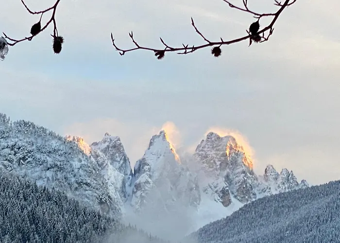 Fra Rose e Mughi