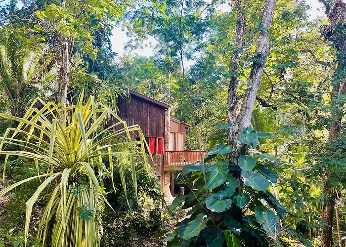 Mariposa Jungle Lodge
