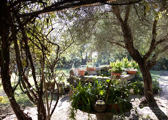 Locanda Acetaia Malagoli Daniele Castelfranco Emilia