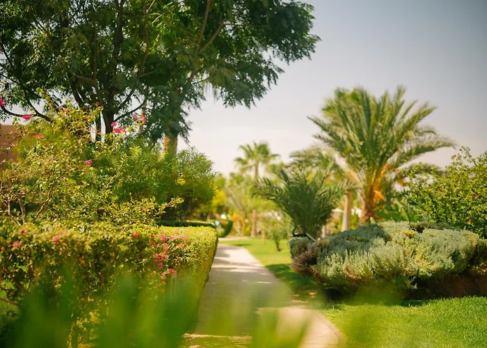 Be Live Collection Marrakech Adults Only All Inclusive Marrakesch