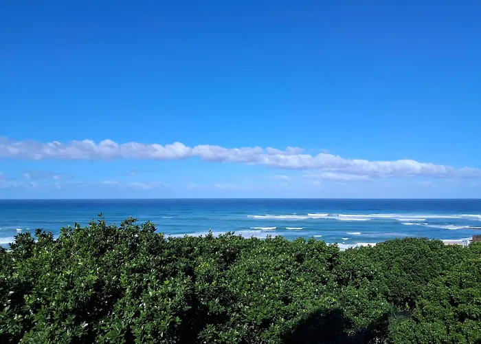 The View