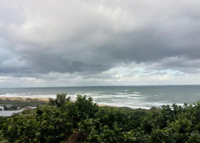 The View