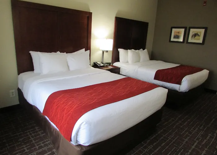 Comfort Inn Wichita Falls Near University