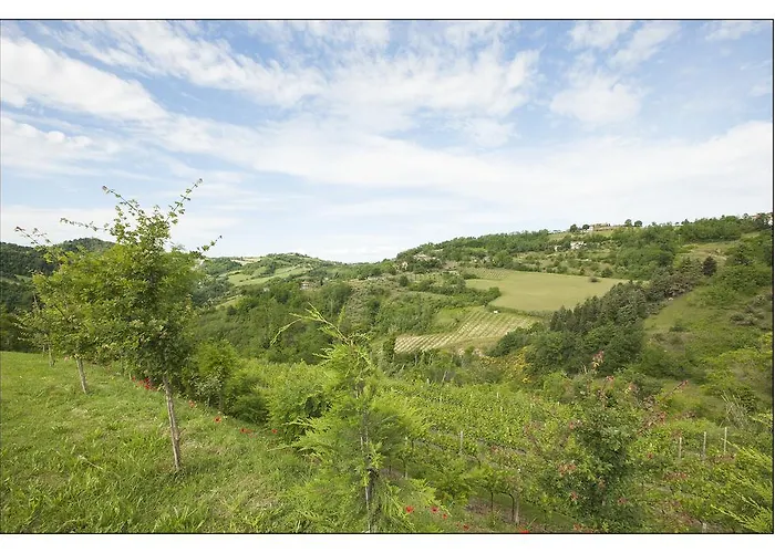 Bed & Breakfast Montesterlino