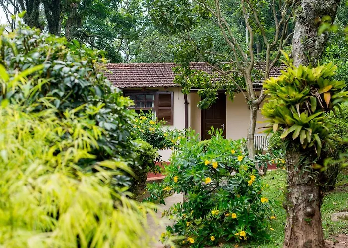 Casa Do Lenhador